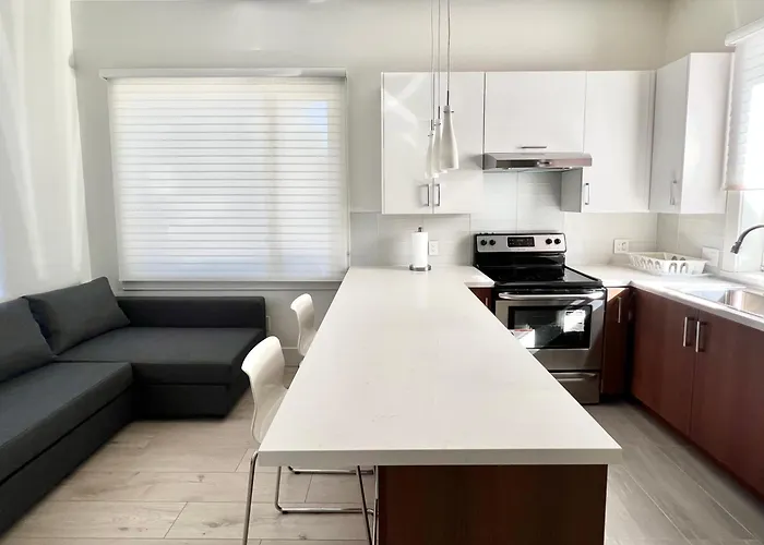 Brand New Modern Laneway House