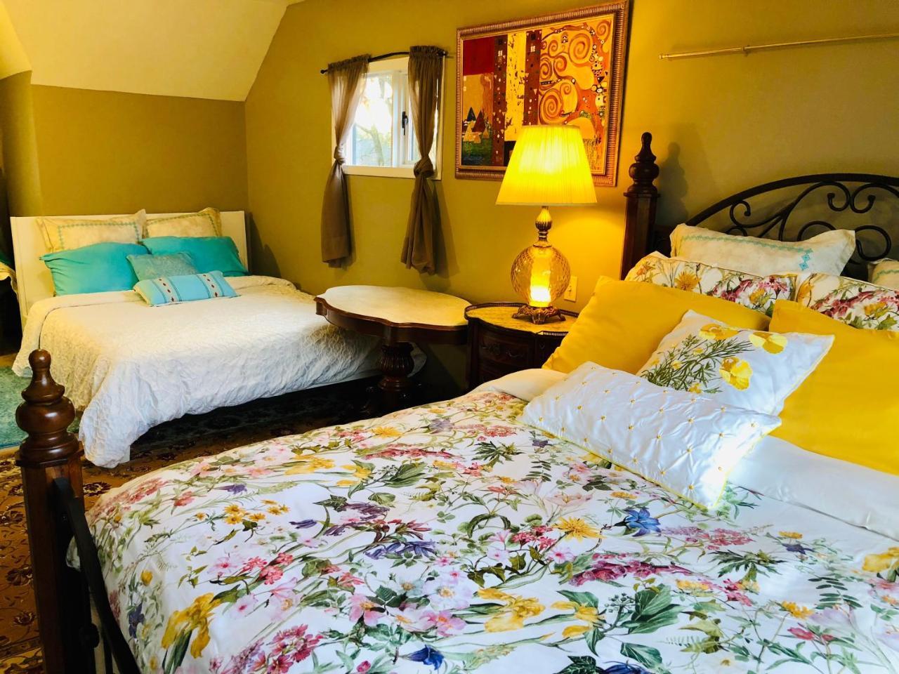 Bed & Breakfast The Sunshine House-free Parking 3*
