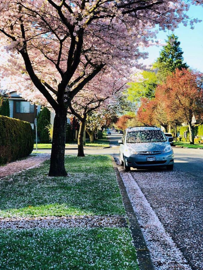 The Sunshine House-free Parking 3* Vancouver