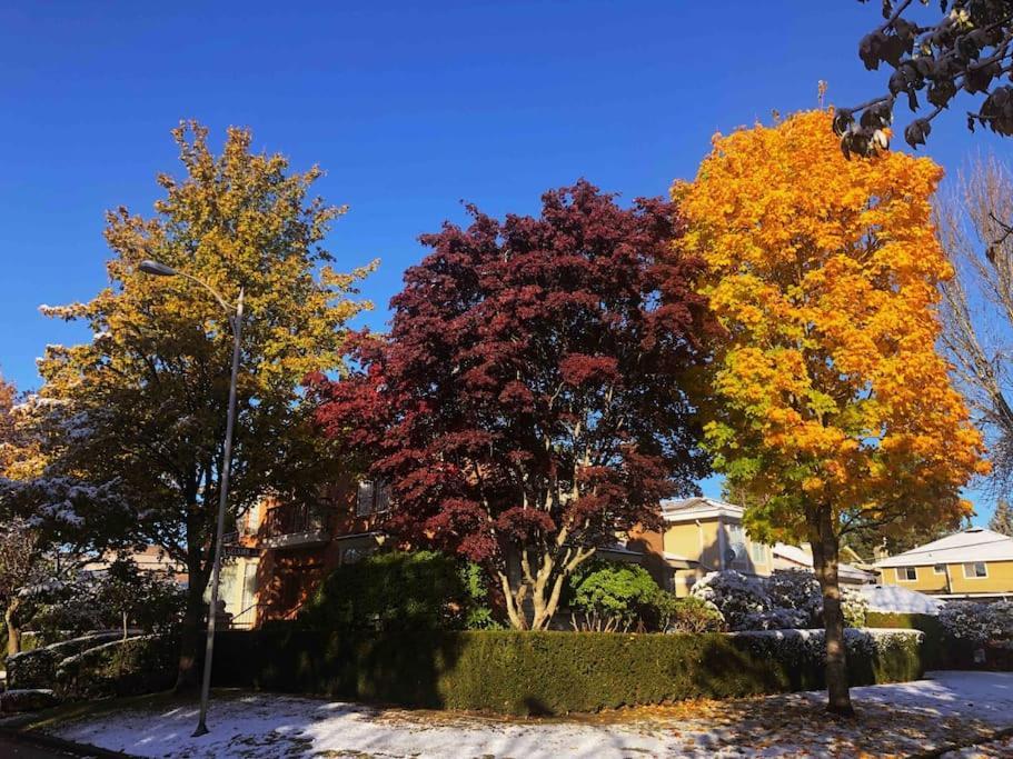 Super Cosy 8bed & 6bath In Heart Near To Airport