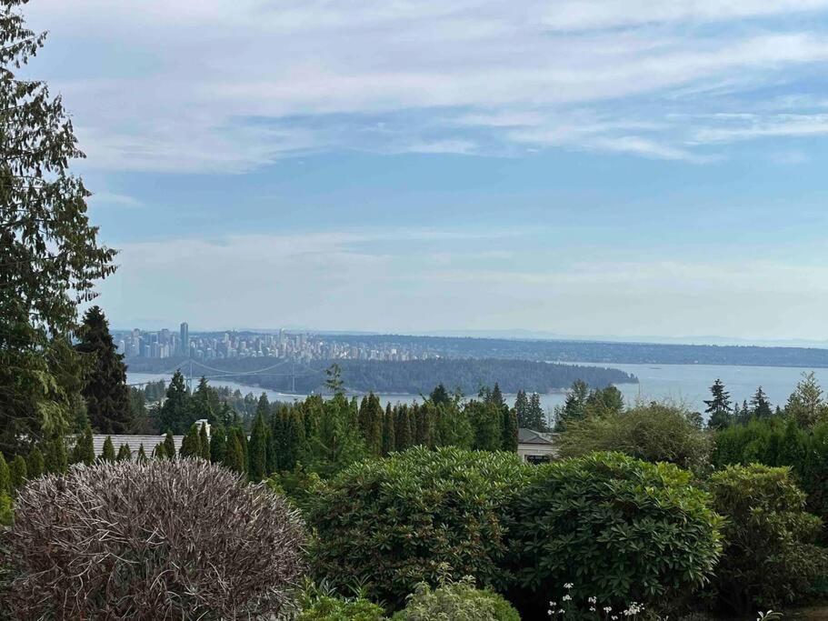 A Gentle Hideaway In The Urban Forest West End Downtown