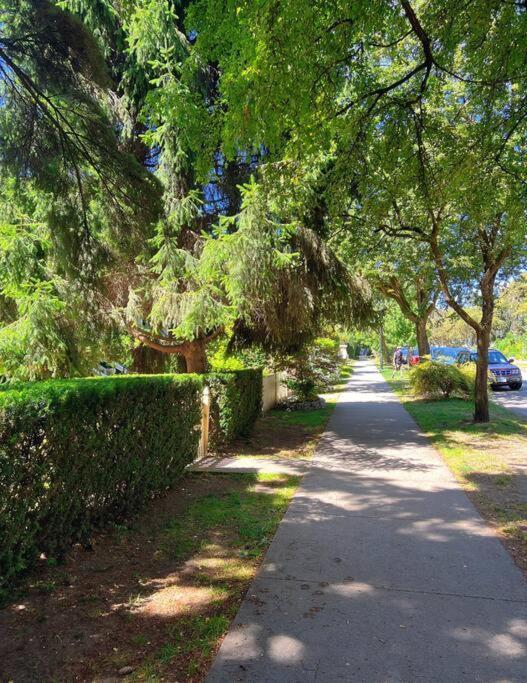 Apartment A Gentle Hideaway In The Urban Forest West End Downtown *