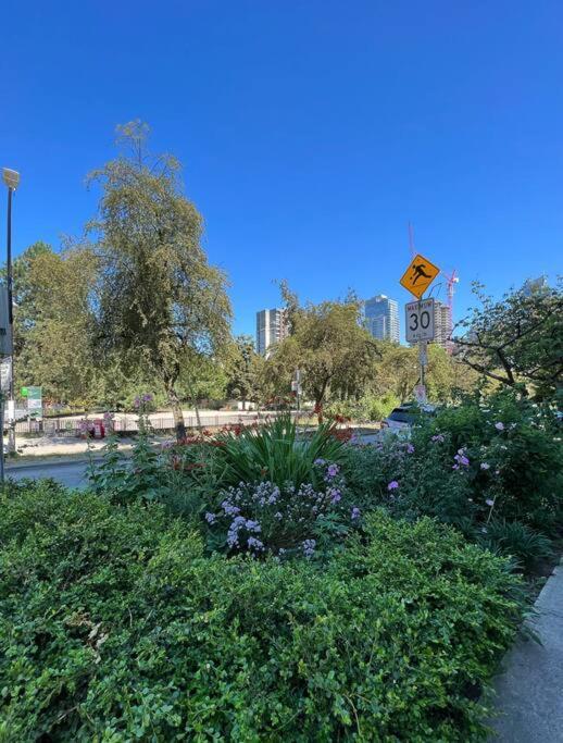 A Gentle Hideaway In The Urban Forest West End Downtown