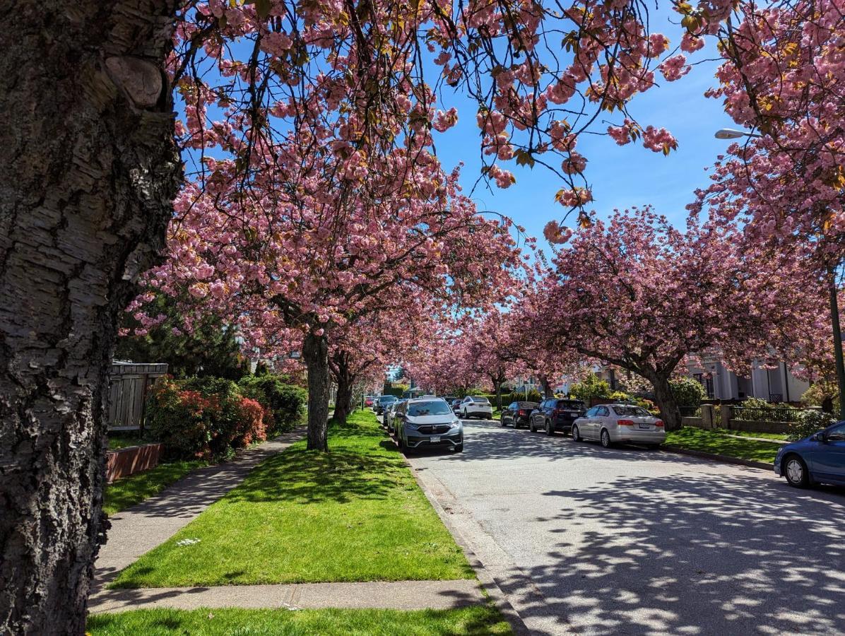 Homestay Away At Near Yvr