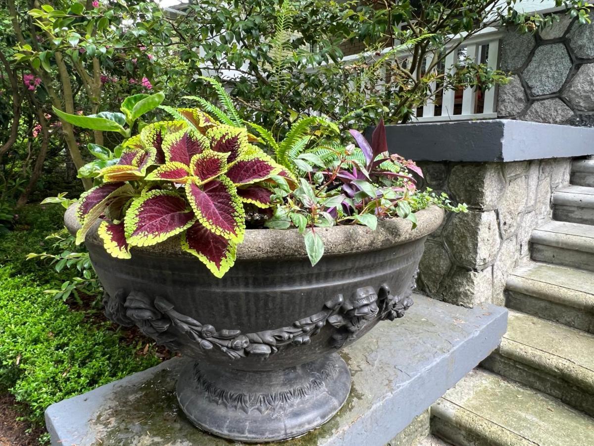 Aristocrathomestay Homestay Vancouver