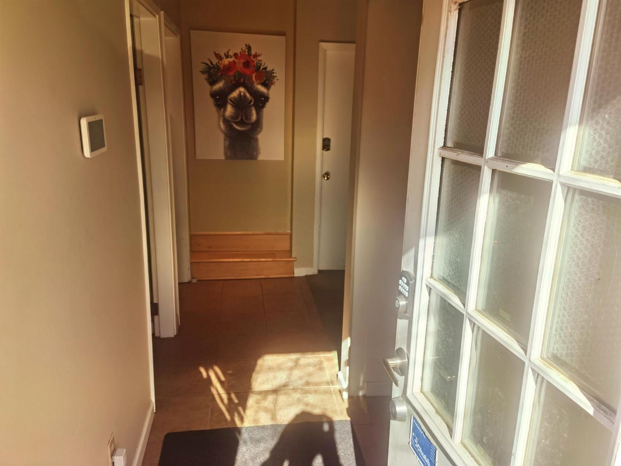 Sunny And Cozy Art-house. No Share. Villa