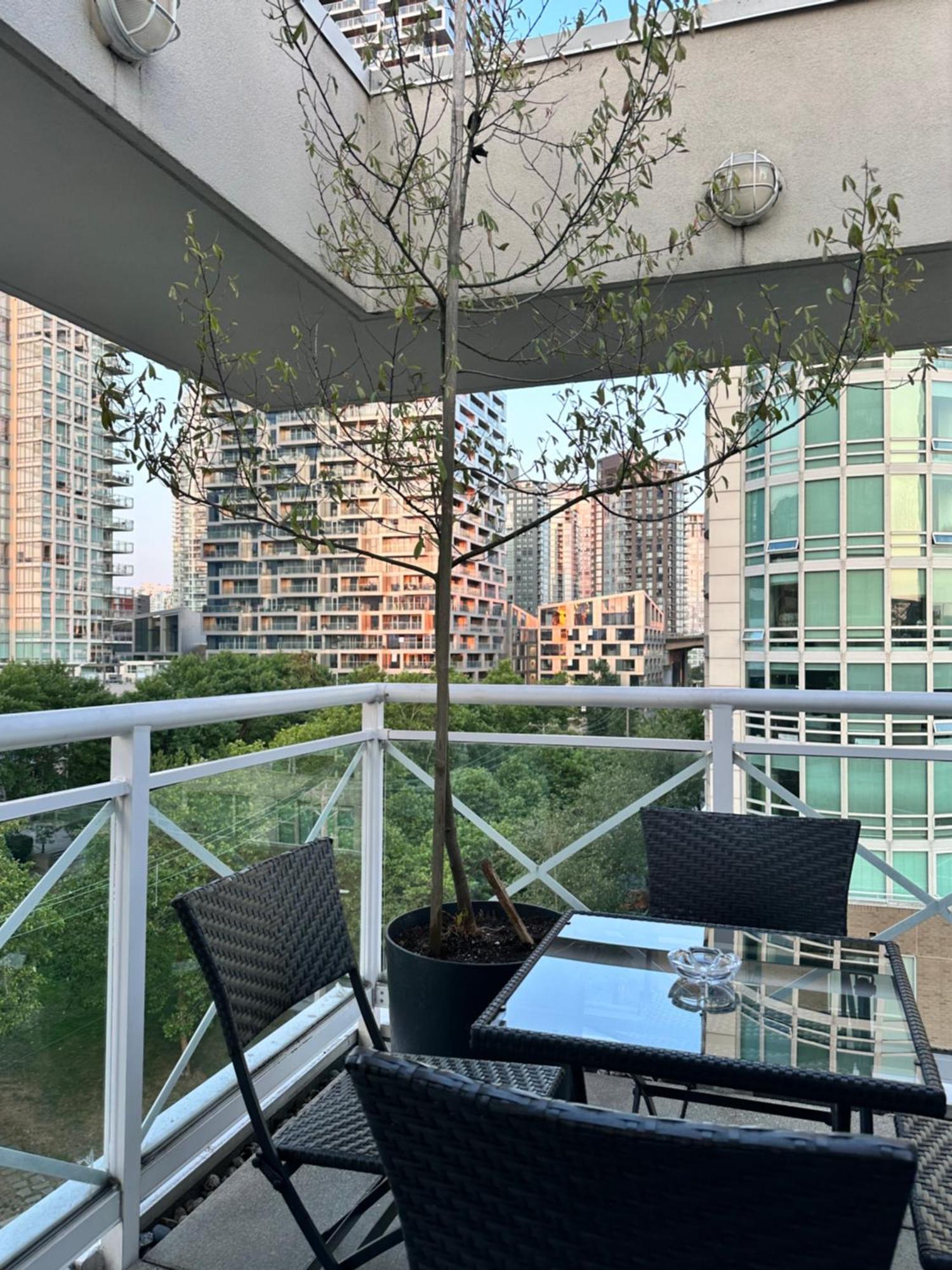 Penthouses Of Ave Apartment Vancouver