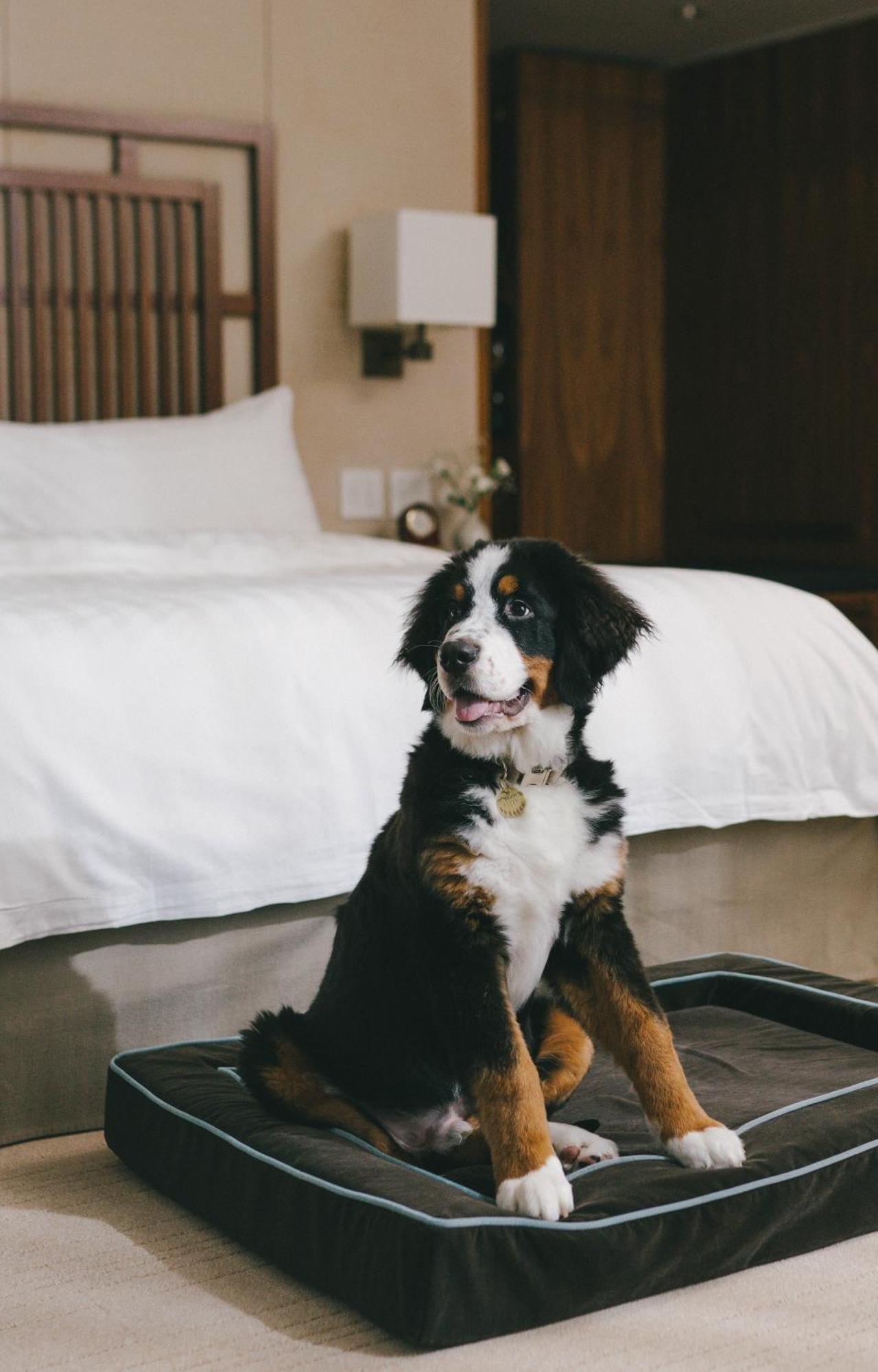 Hotel Shangri-la Vancouver