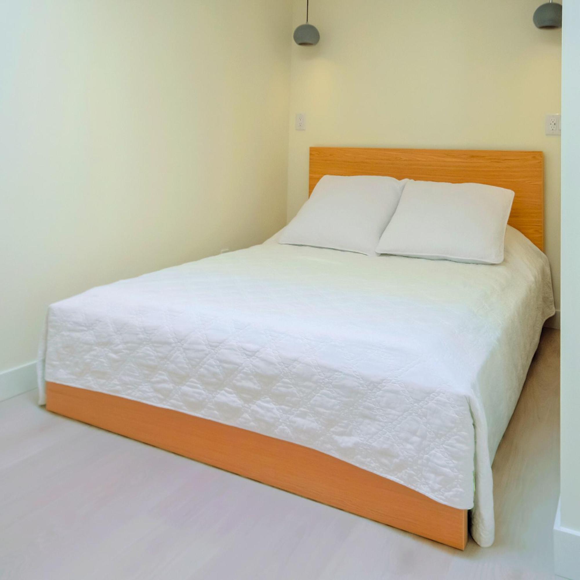 Apartment Newly Renovated 2 Bedroom In Japantown! Near Railtown & Gastown! *