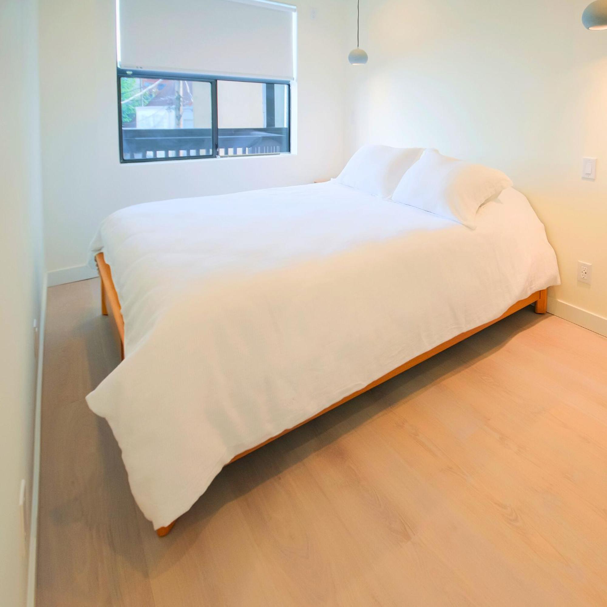 Newly Renovated 2 Bedroom In Japantown! Near Railtown & Gastown! Vancouver