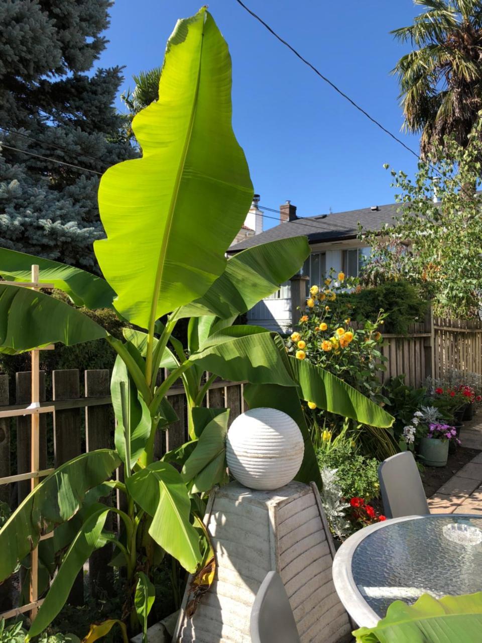 Guest house Cozy Bedrooms Guest House Vancouver