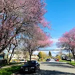 Charming East Van Hideaway - Near Skytrain
