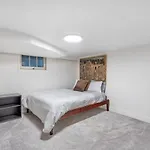 Cozy Basement Apartment With Skylights
