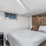 Cozy Basement Apartment With Skylights