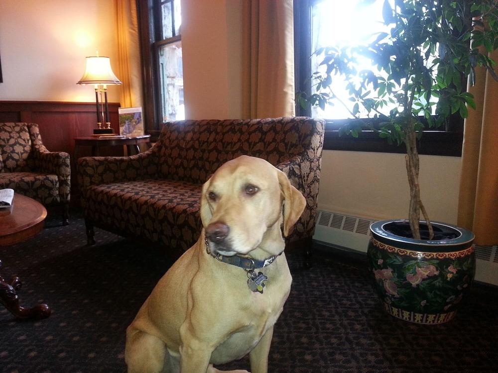Hotel The Sylvia 3*