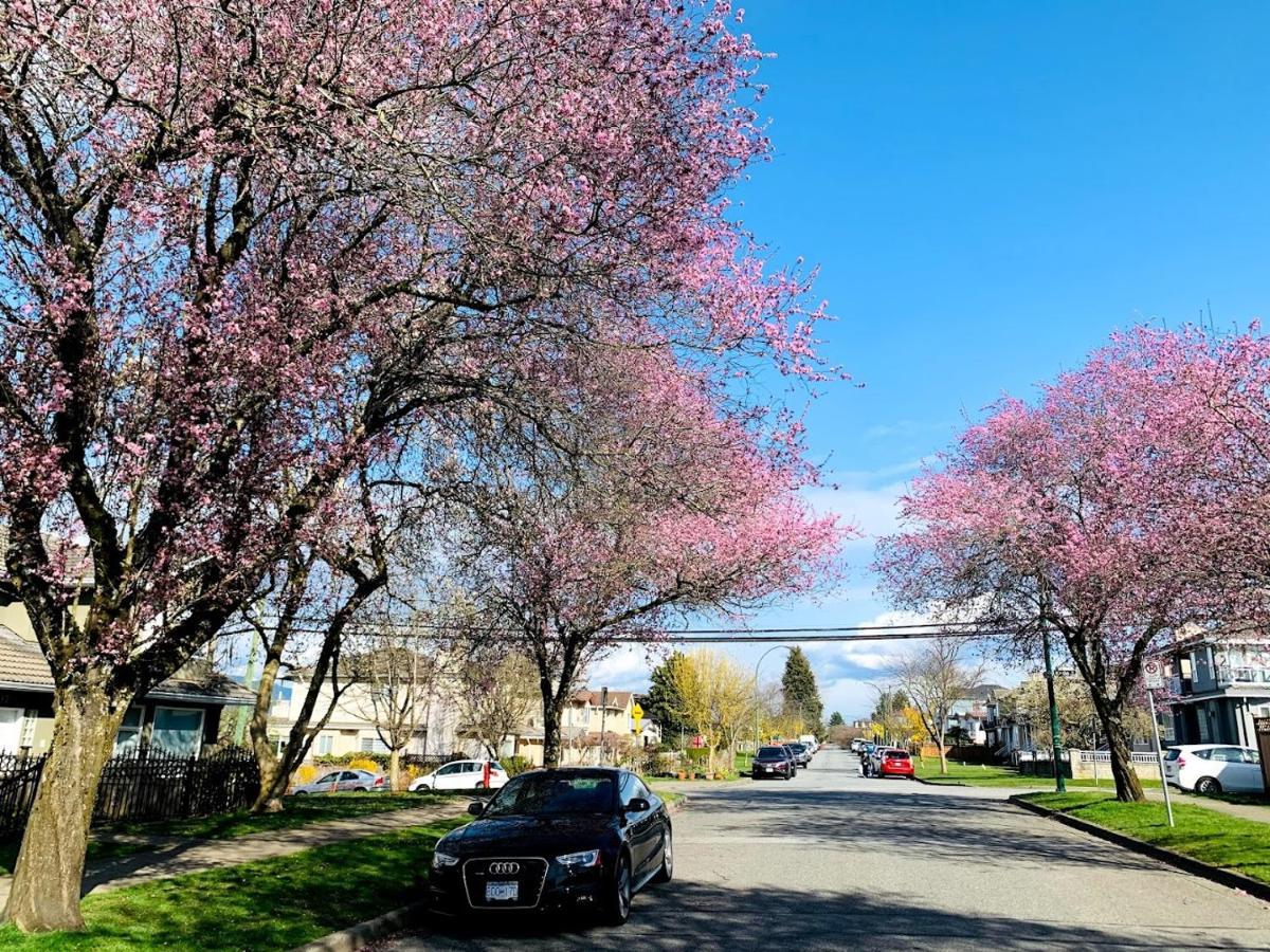Charming East Hideaway - Near Skytrain