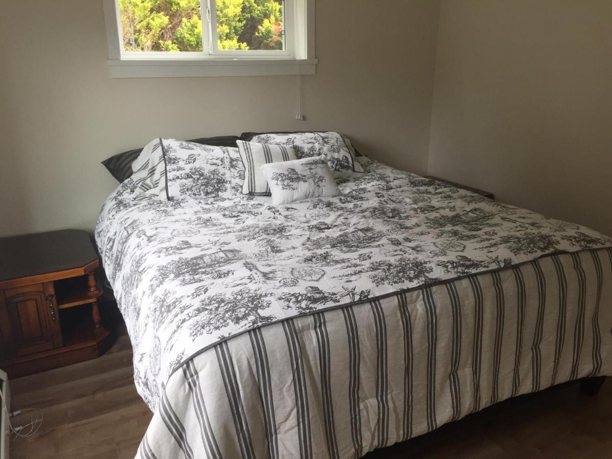 Apartment 1 Bedroom