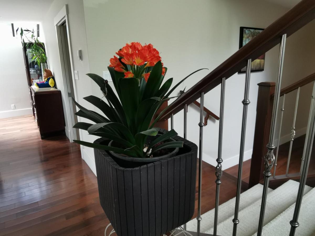温暖的家 Homestay *