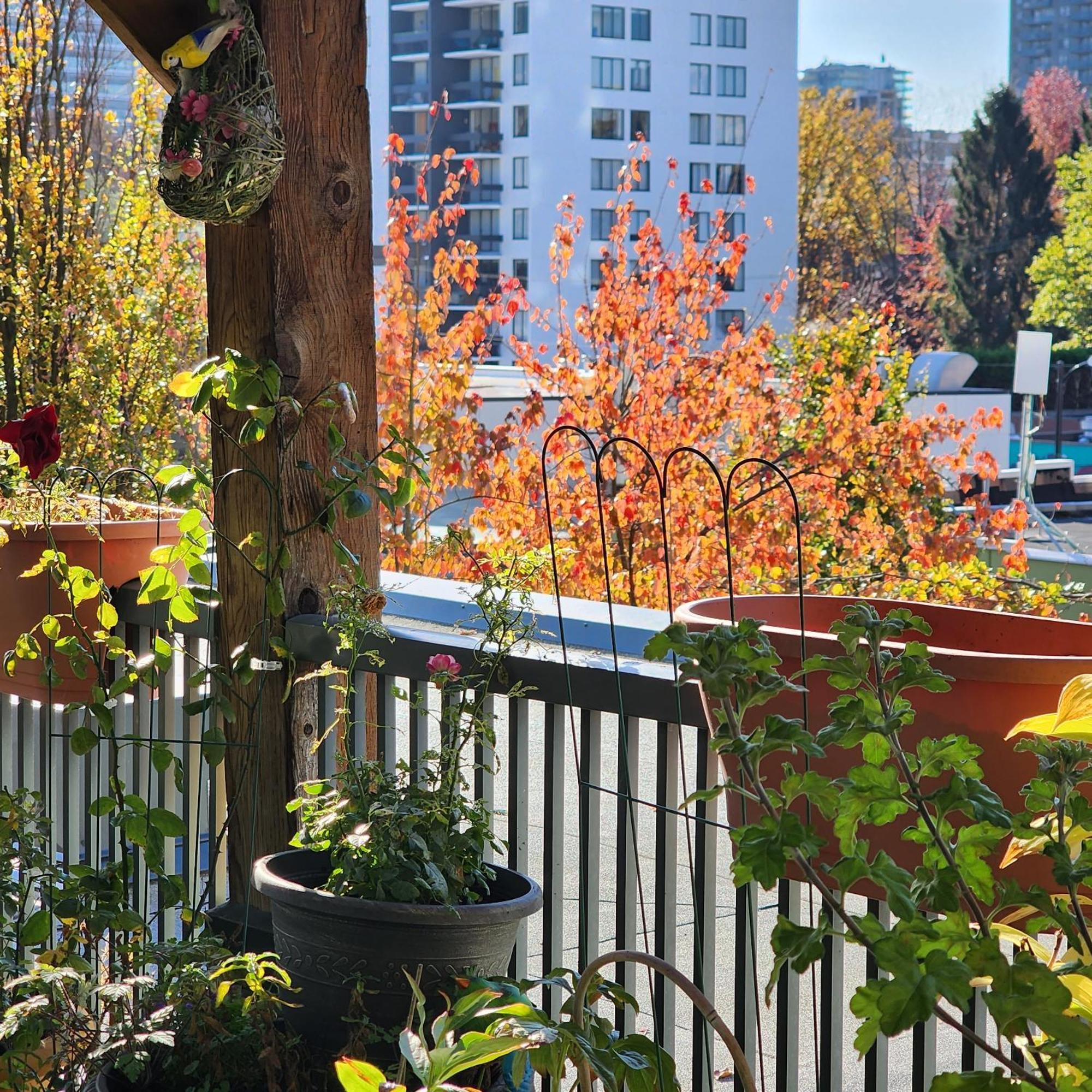 Aparthotel Times Square Vancouver