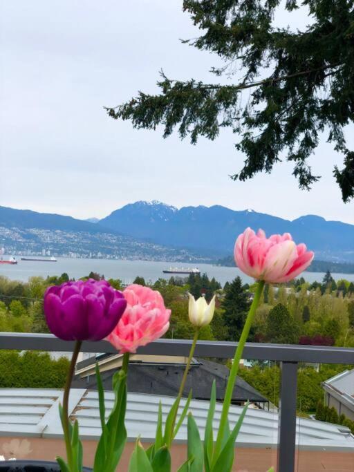 Oceanview Luxury 4-bedrooms Point Grey * Vancouver