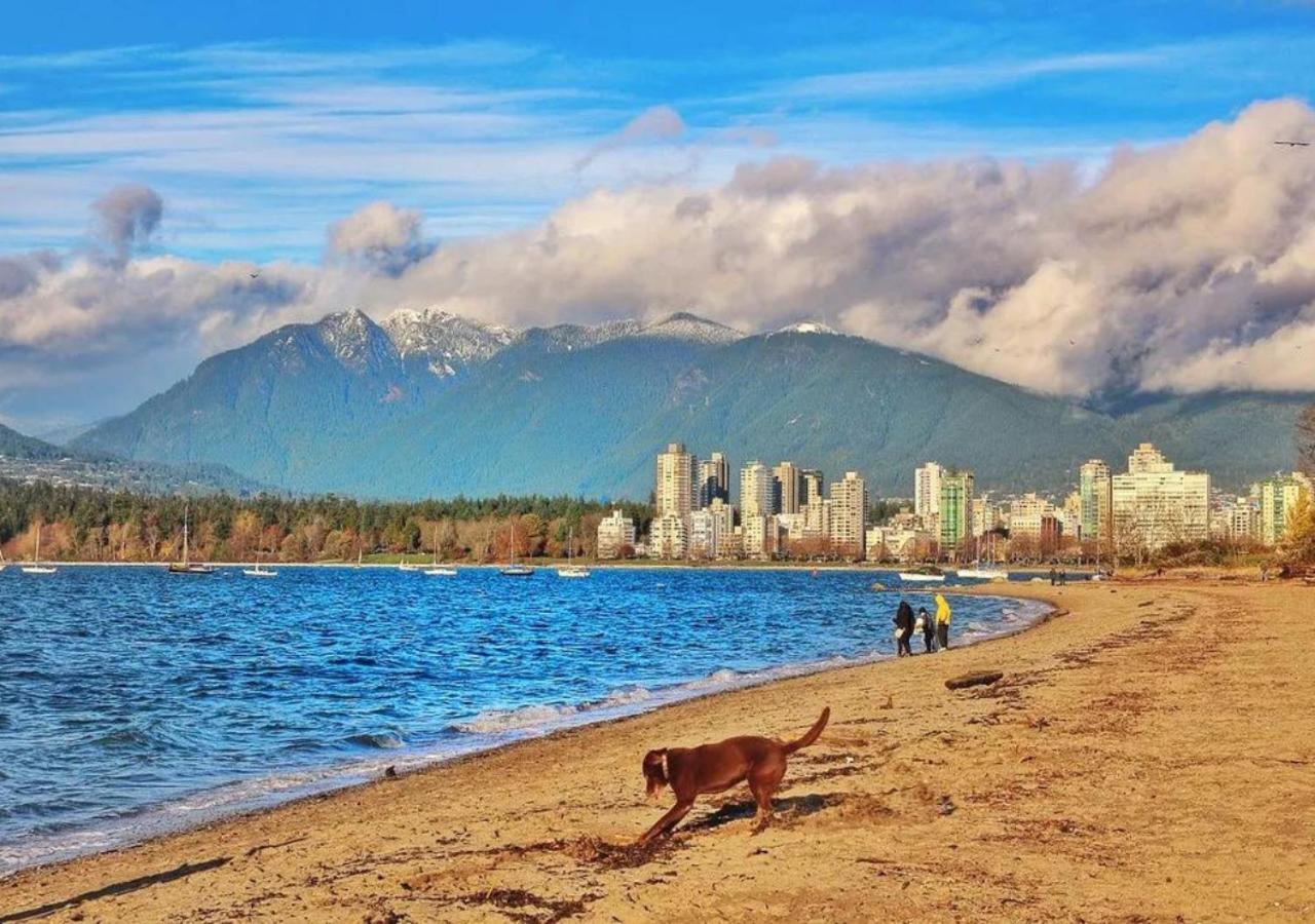 Ocean -1bdr- King Bed- Kitsilano Beach W/parking