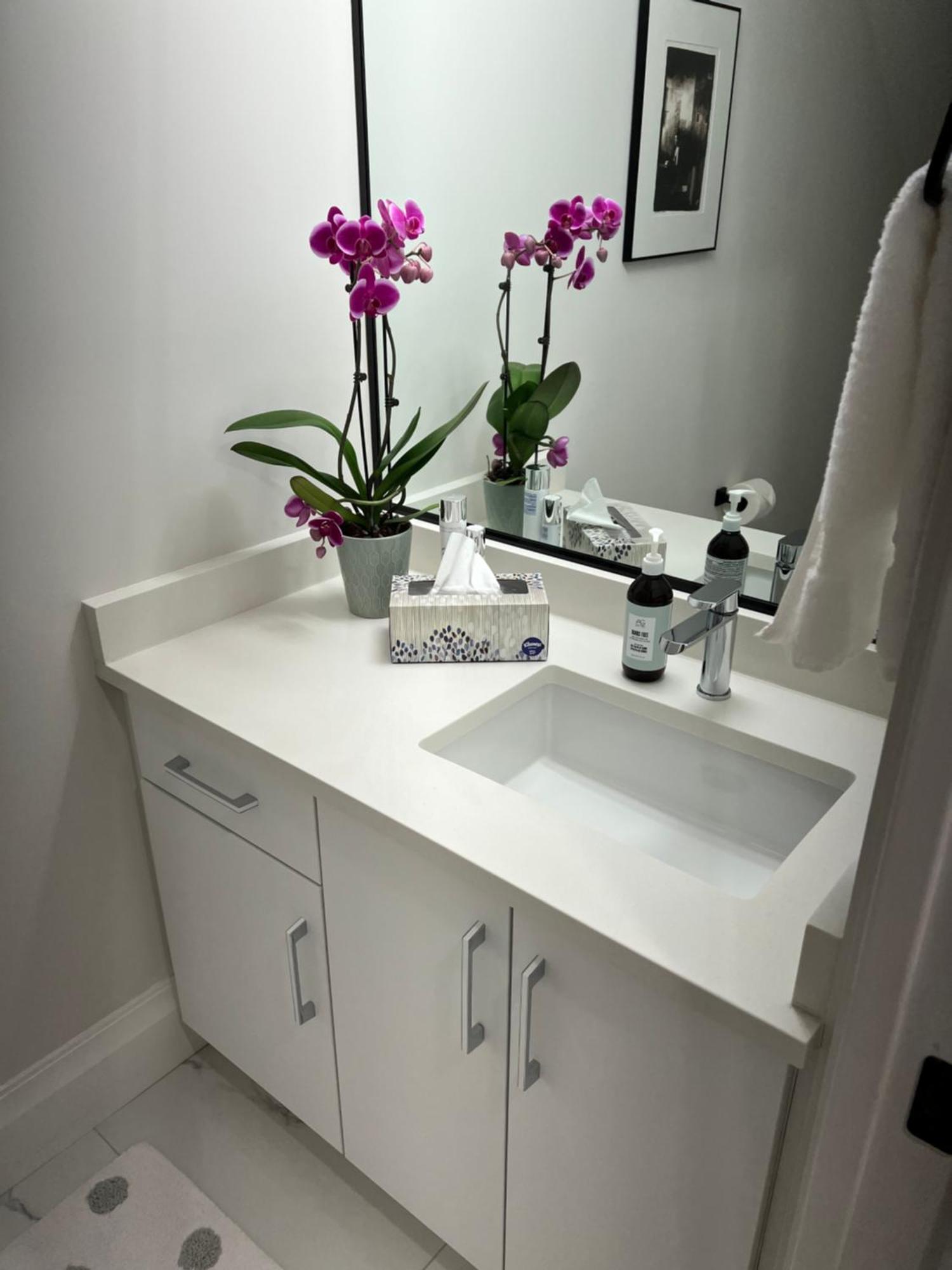 Apartment A Gentle Hideaway In The Urban Forest West End Downtown Vancouver