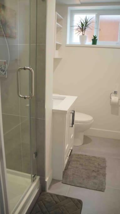 Newly Renovated Walkout Basement In With Separate Entrance Vancouver