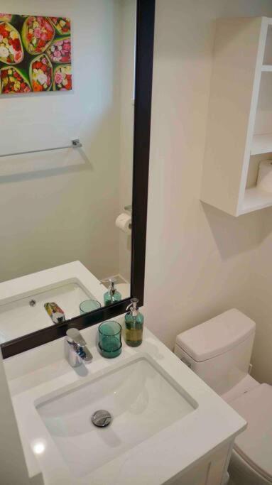 Newly Renovated Walkout Basement In With Separate Entrance *