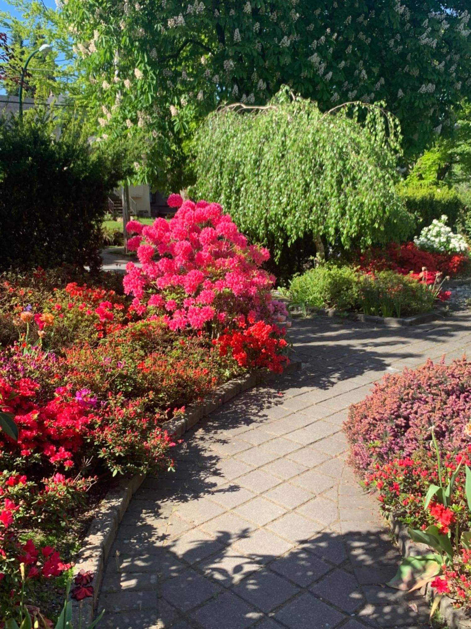 Broadway Homestay Vancouver