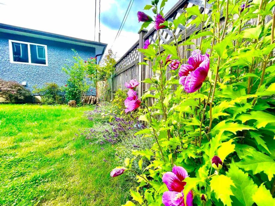 Free Breakfast/luxury/modern/vancouver & Burnaby Vancouver