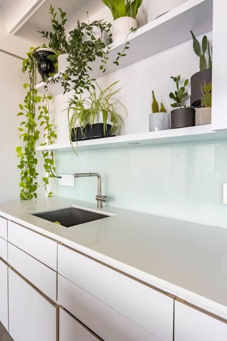Modern 1br Chinatown-steps To Rogers Arena W Parking Apartment