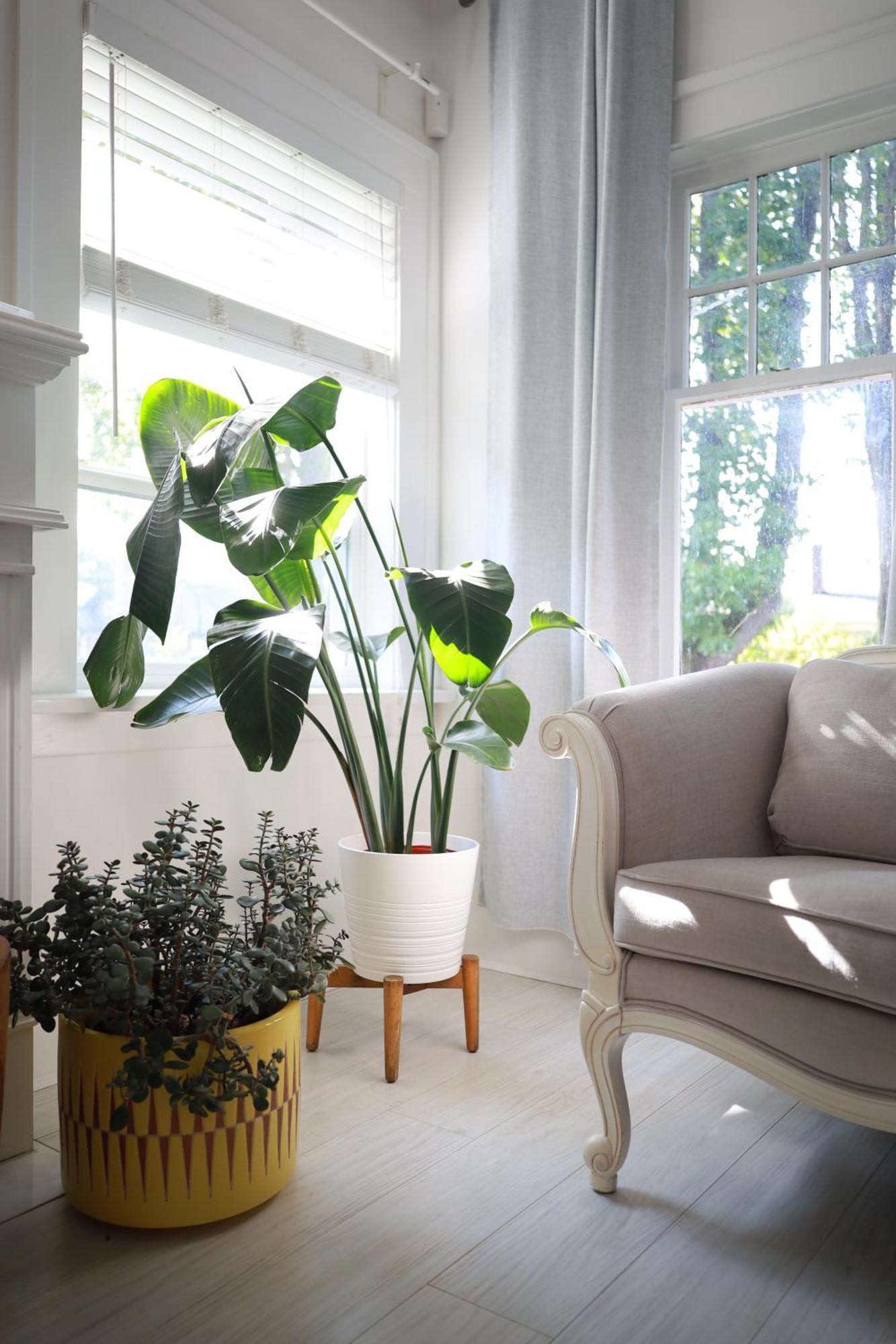 Cozy In Kitslano, Vancouver. Free Parking. Holiday home *