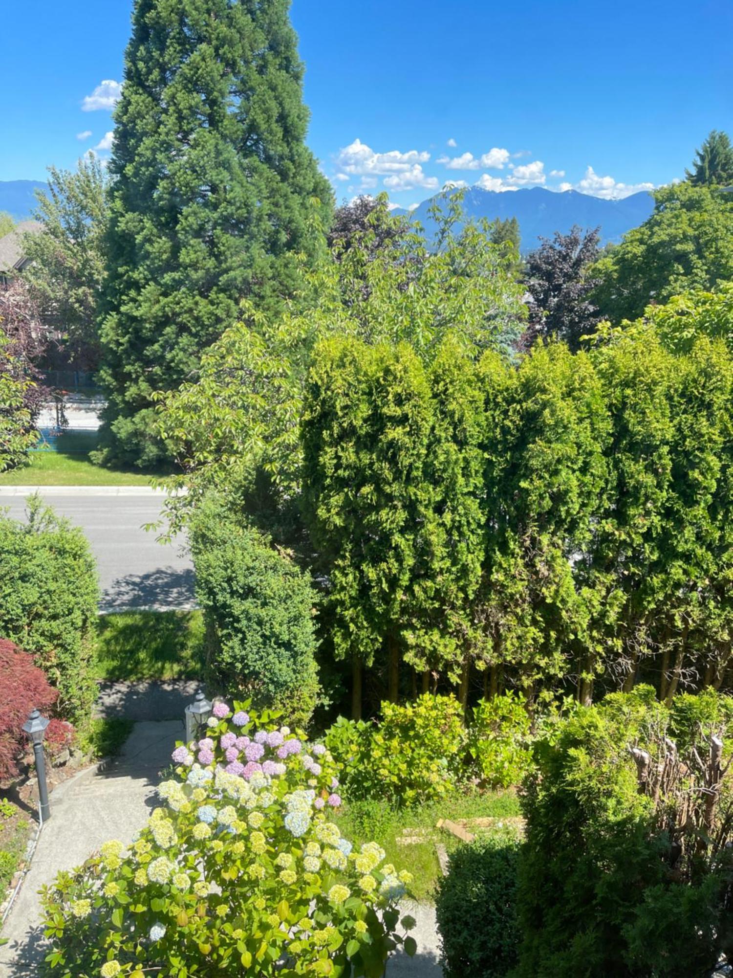 Cozy Guest Near Ubc, Downtown And Beaches