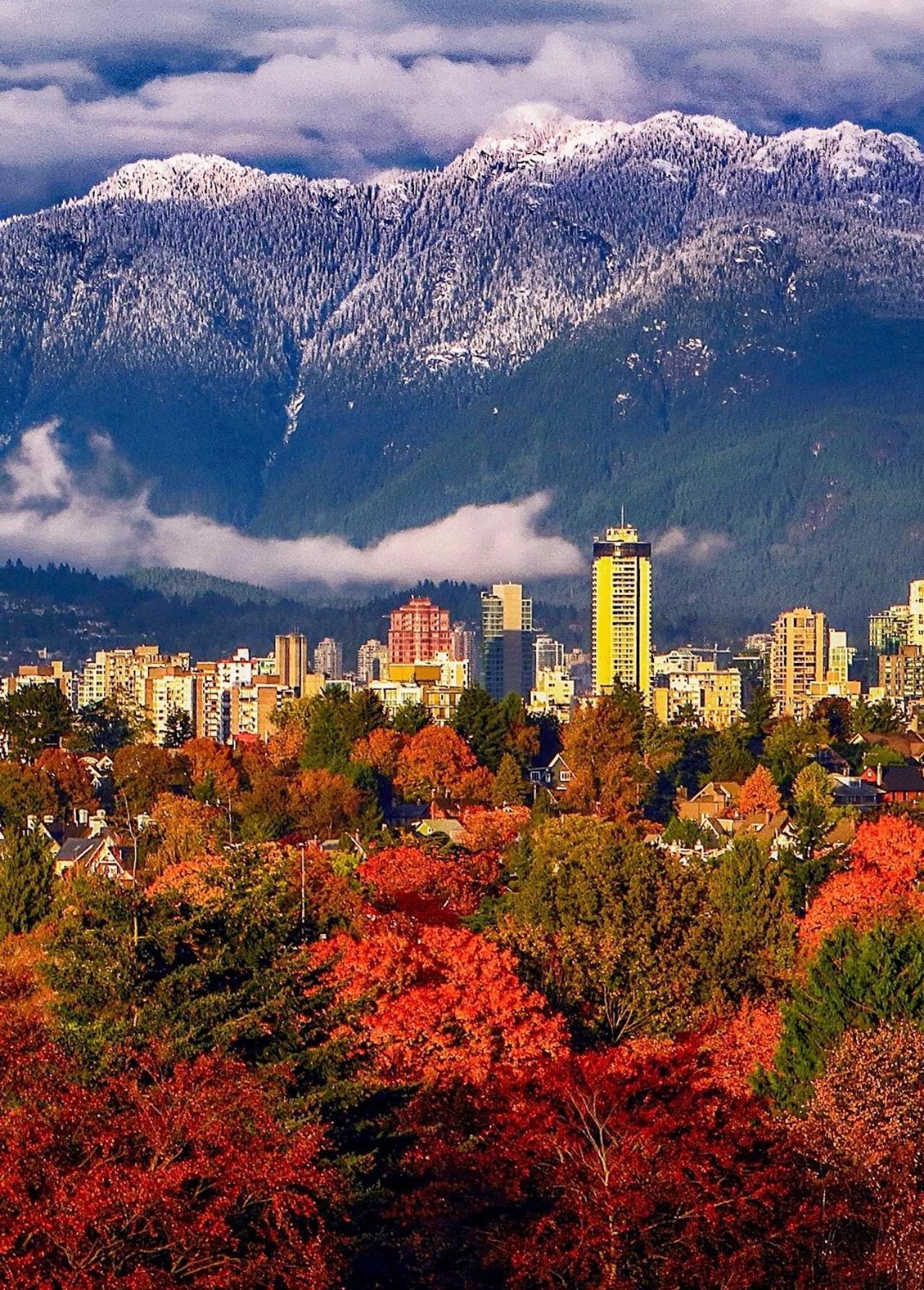 Hotel 7 Bedrooms In The Heart Of Vancouver