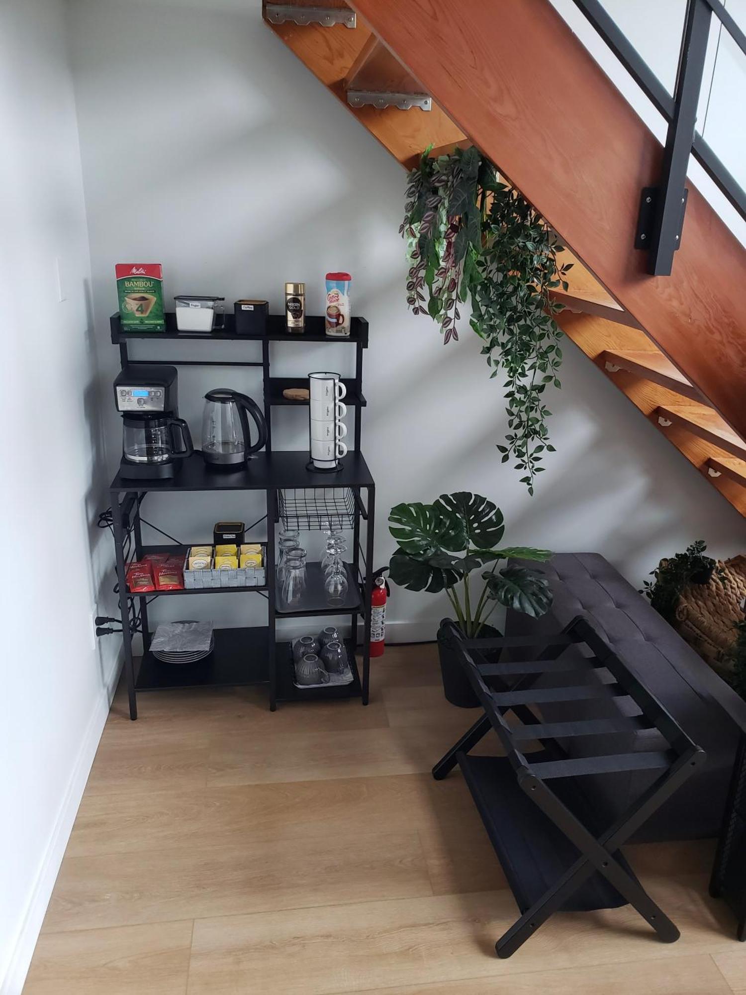 Elegant Unique Downtown Loft, Comfort & Convenience Combined *