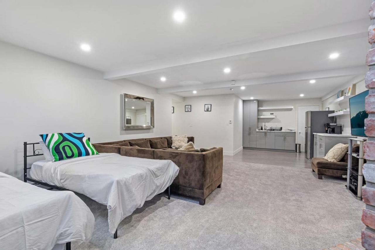 Cozy Basement With Skylights *