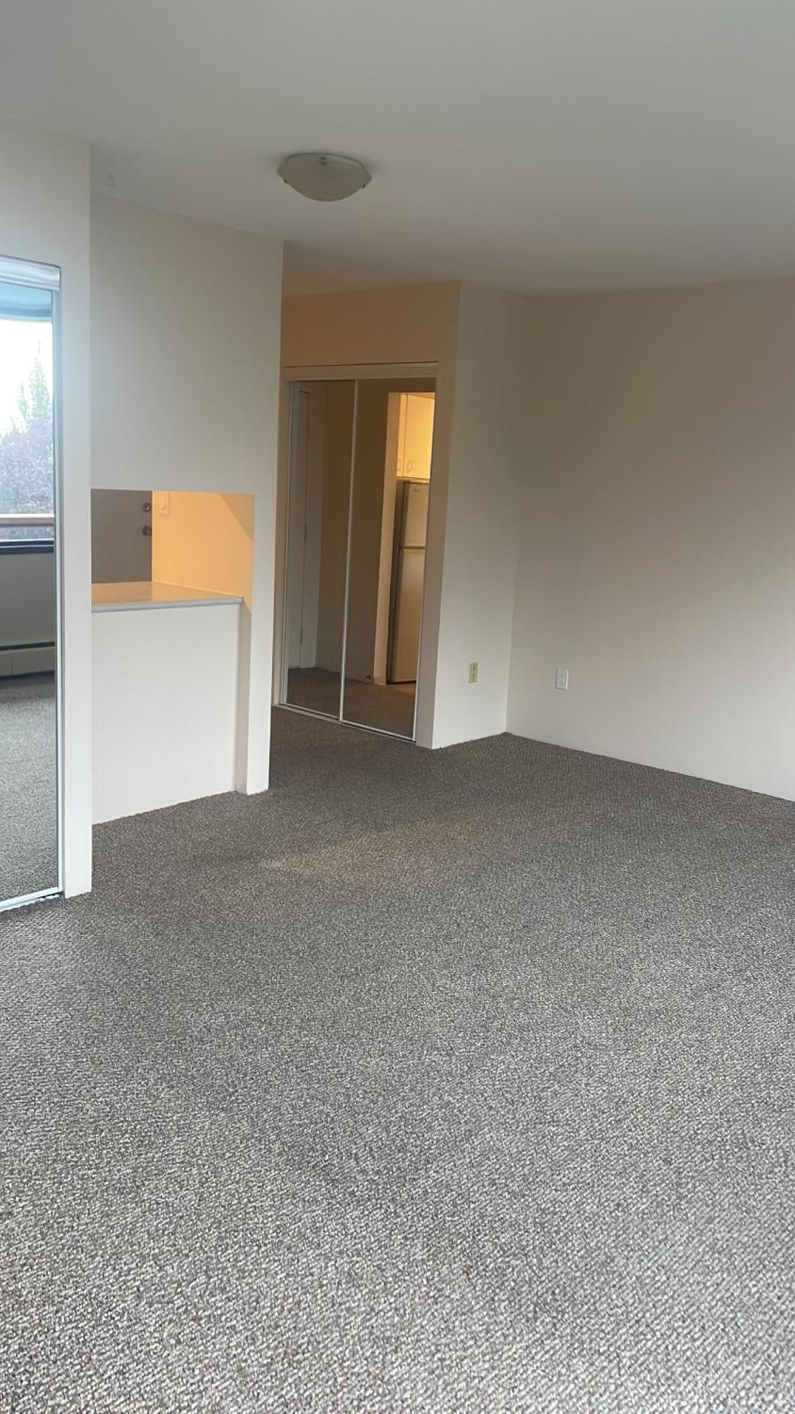 Beautiful Downtown Apartment Vancouver