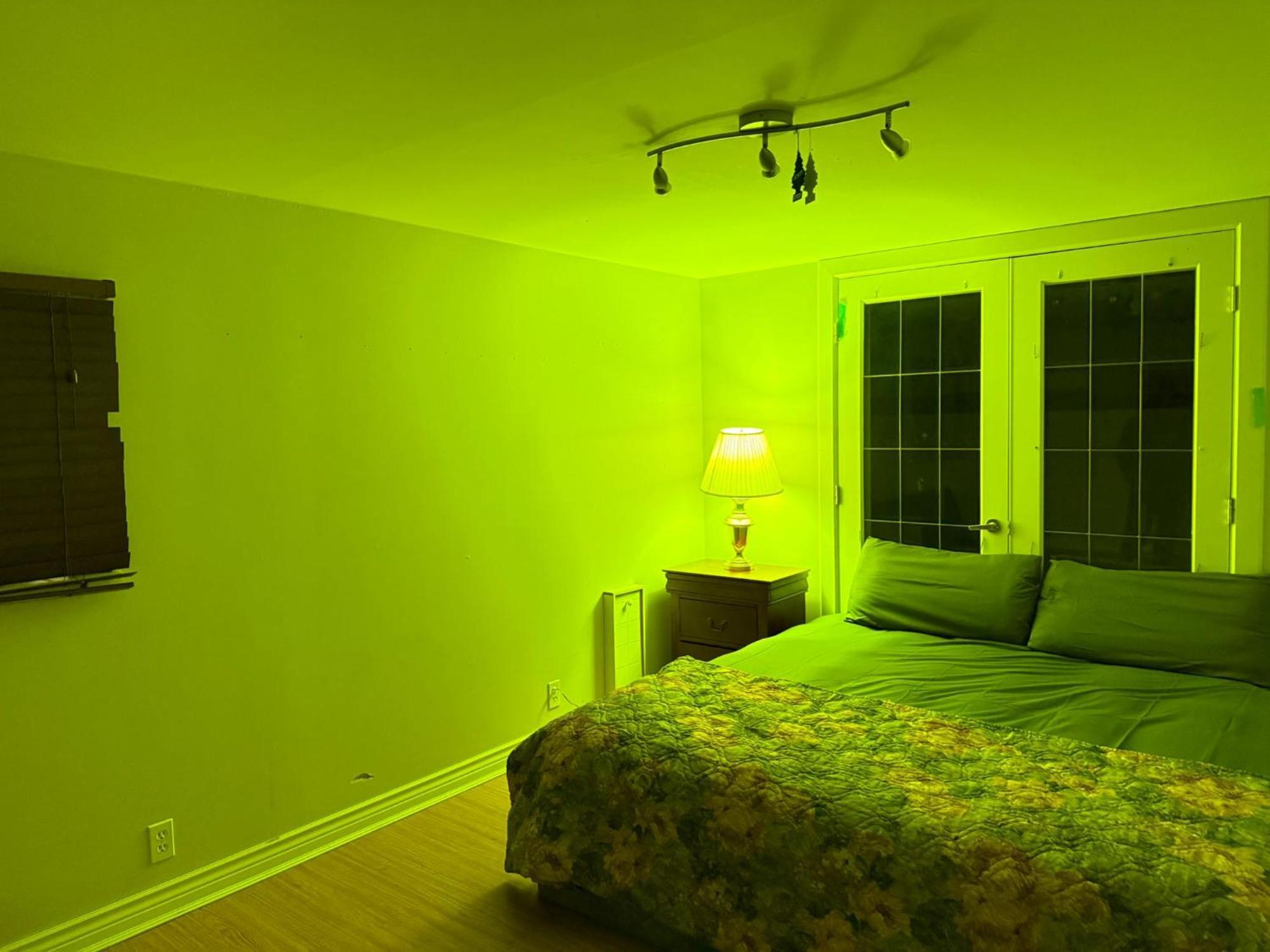Wallace Park Bnb - 7 Min To Downtown Homestay Vancouver
