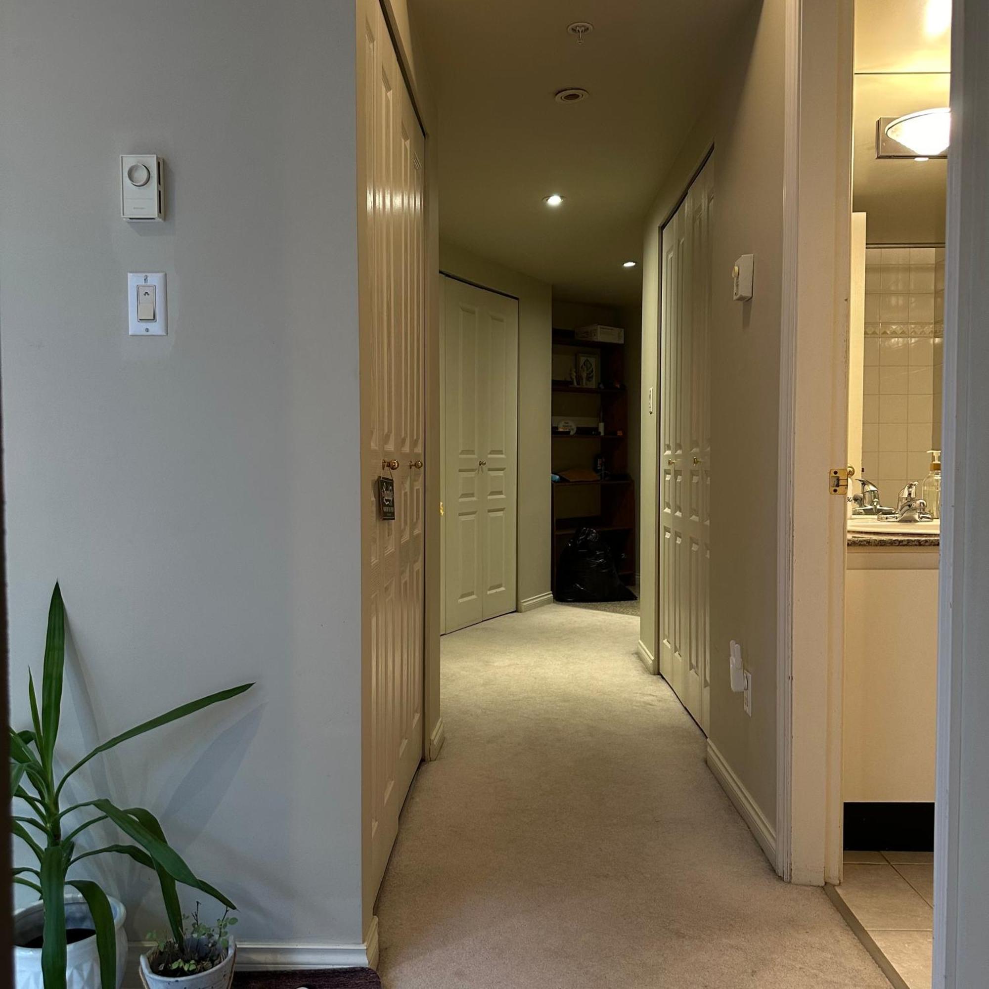 Apartment Amazing At Location