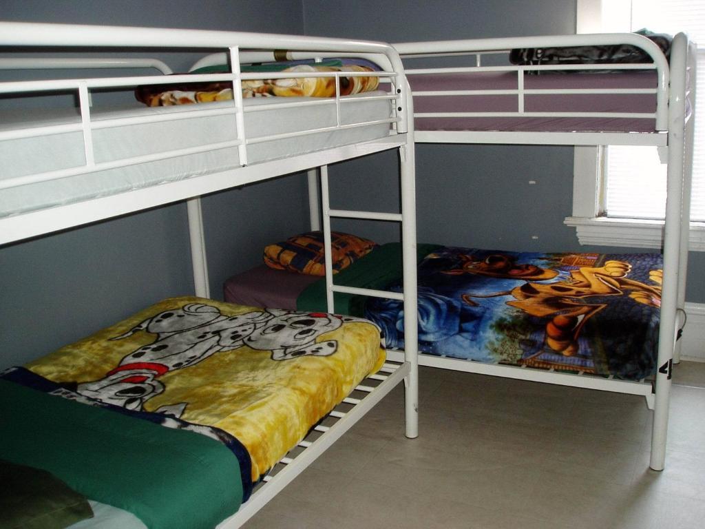 C&n Backpackers Hostel