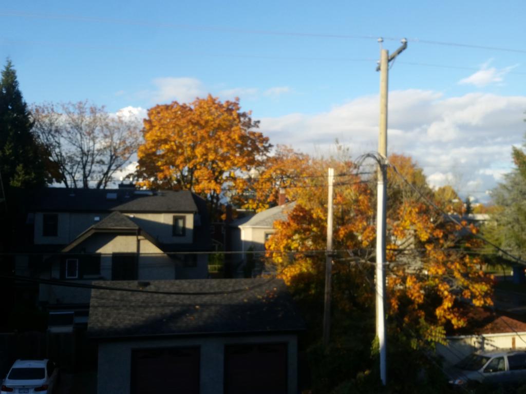 Kitsilano Heritage Guest house *