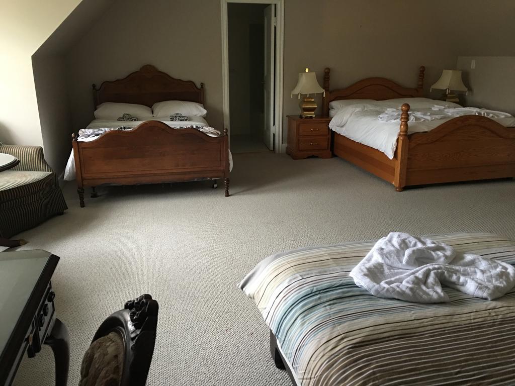 Guest house Angus House