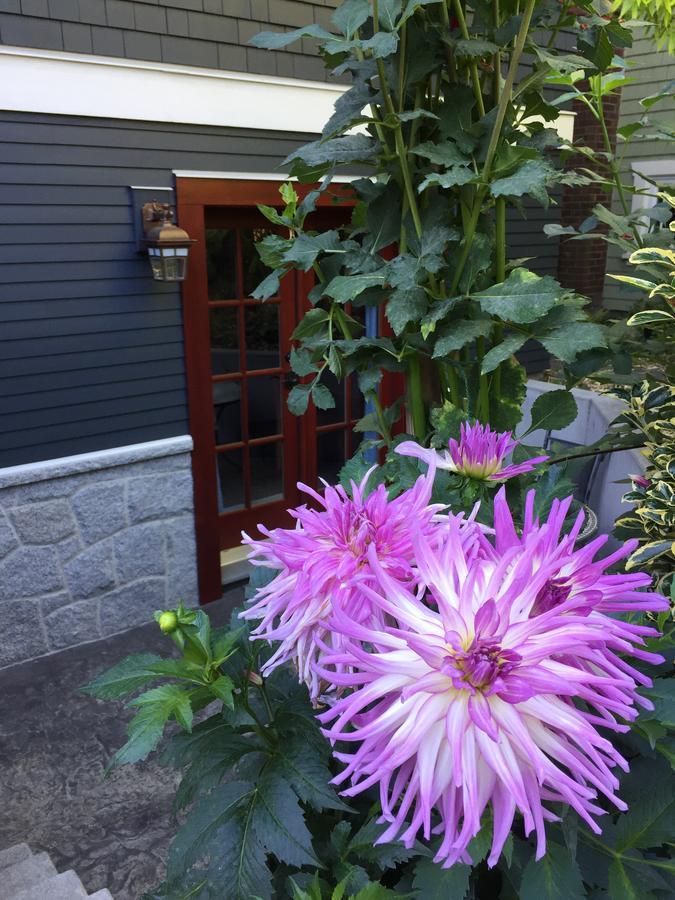 Beautiful, Quiet 3br In Posh Kitsilano *