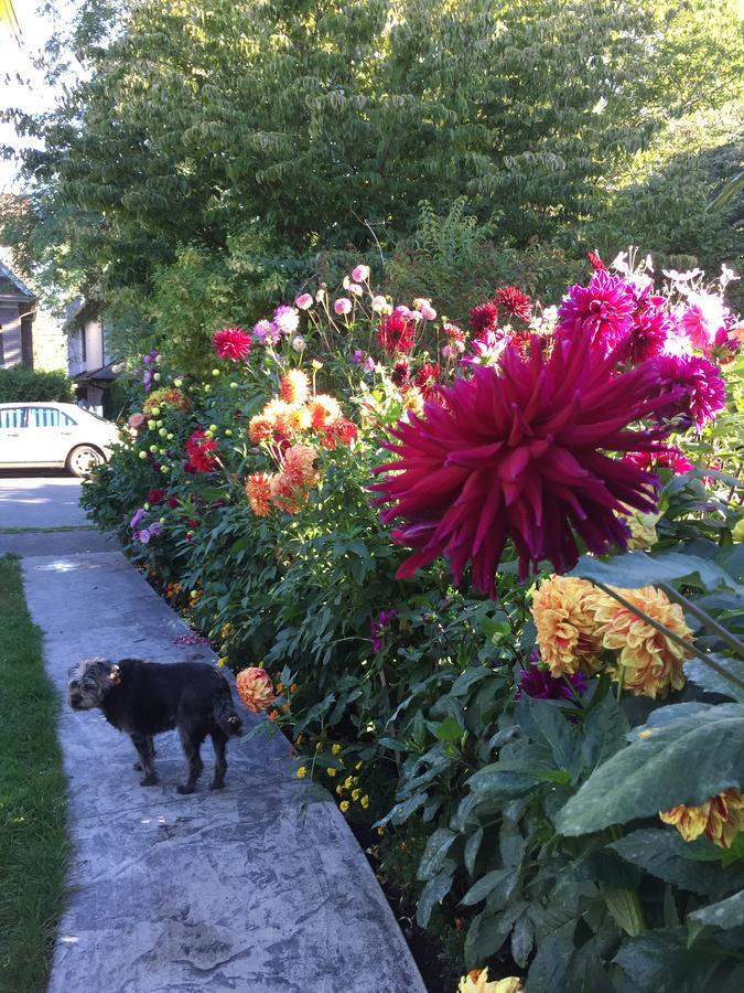 Apartment Beautiful, Quiet 3br In Posh Kitsilano *