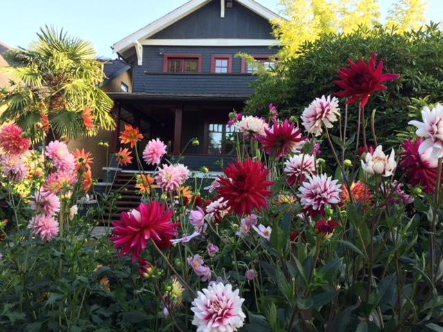 Beautiful, Quiet 3br In Posh Kitsilano Apartment Vancouver