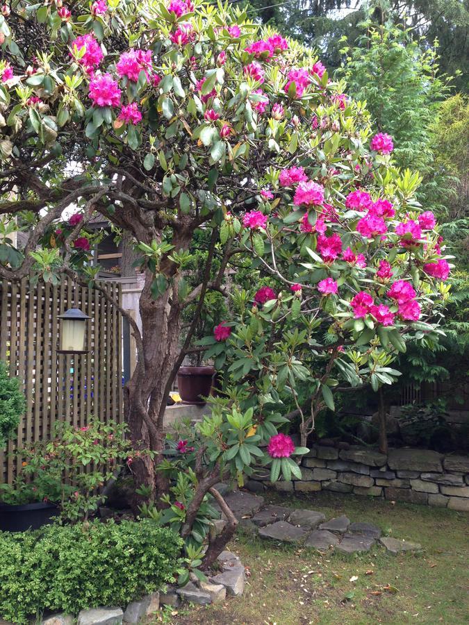 Cartier Guest house *