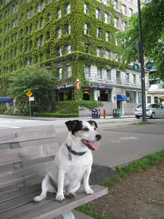 The Sylvia Hotel Vancouver