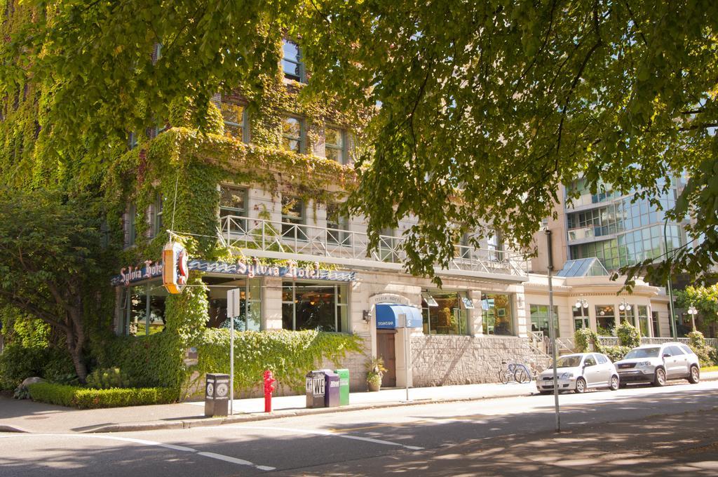 The Sylvia