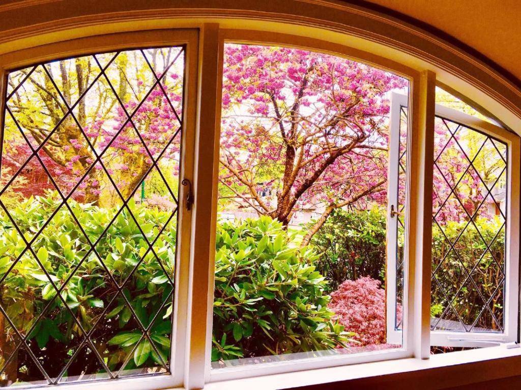 Sunny Vintage In Kits With Free Parking Villa *