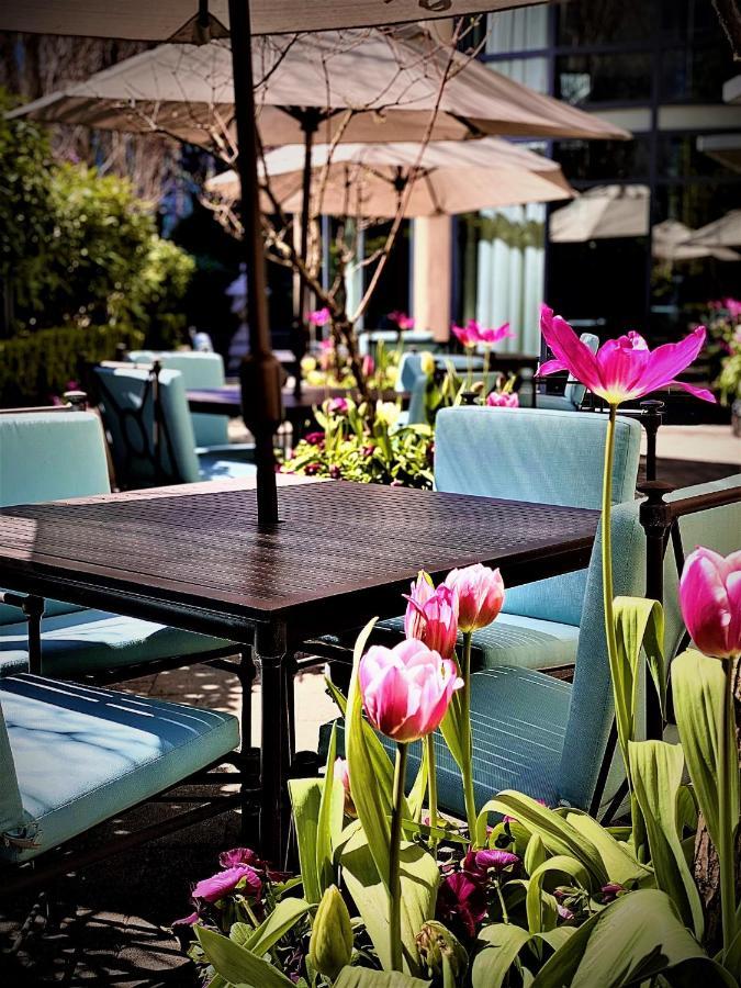 L'hermitage Hotel 4*